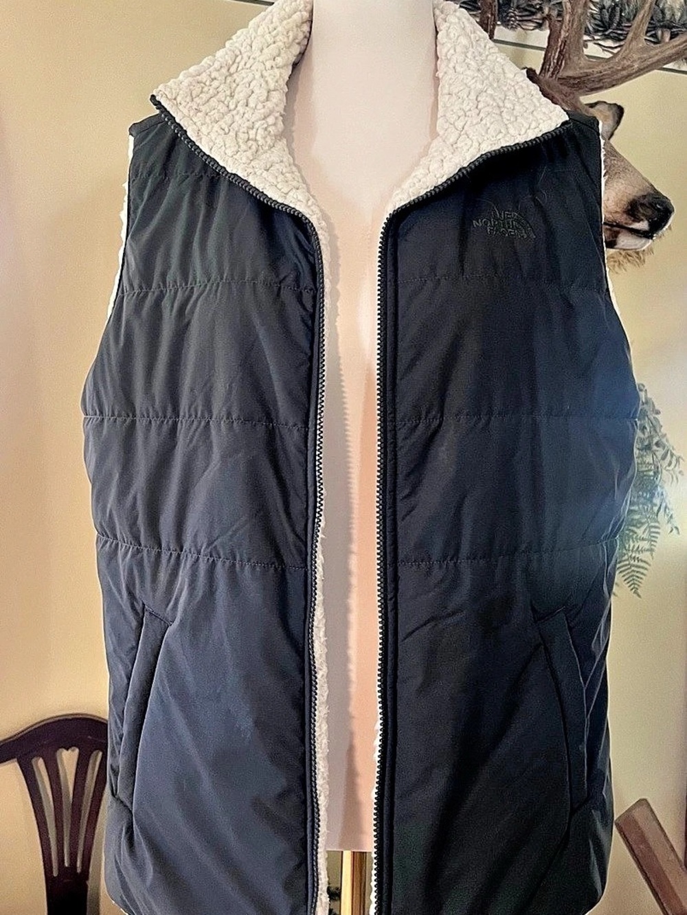 The North Face Women's Reversible Mossbud Swirl Vest Green & Cream
